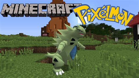 tyranitar best moveset|melhor nature para tyranitar pixelmon.